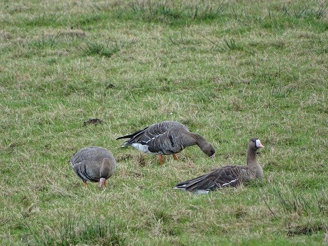 都带来对达 都带来对达