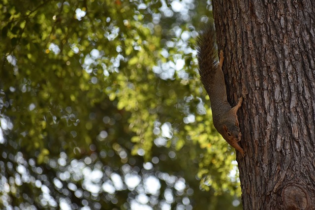 有些无力 有些无力
