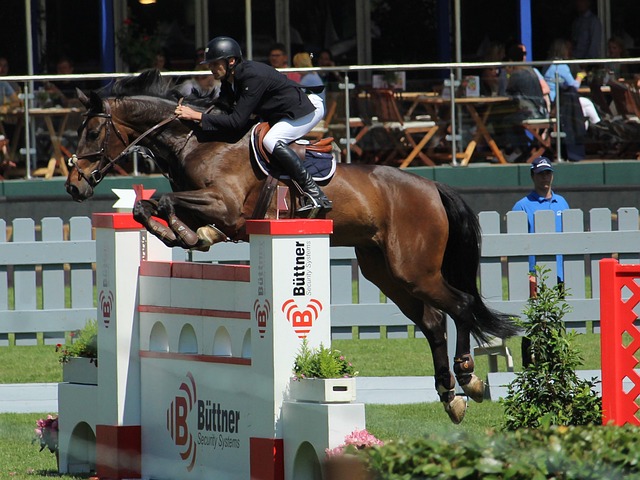 球员的个性 球员的个性