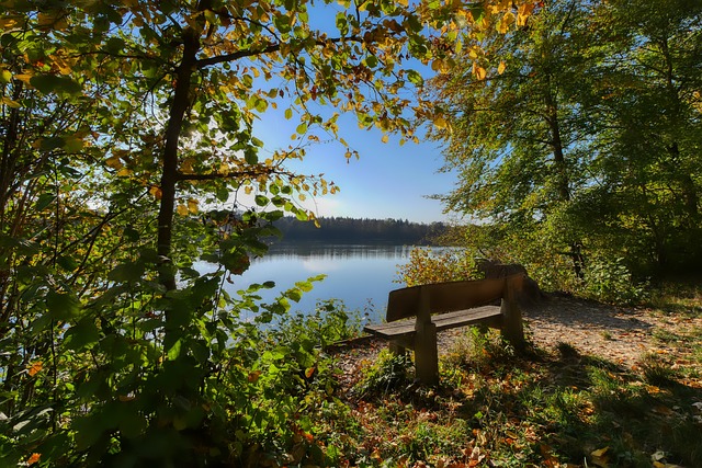 球隊的中流 球隊的中流